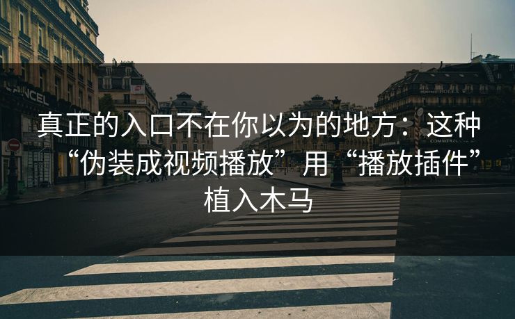 真正的入口不在你以为的地方：这种“伪装成视频播放”用“播放插件”植入木马