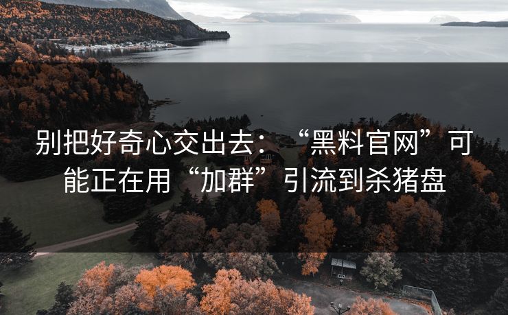 别把好奇心交出去：“黑料官网”可能正在用“加群”引流到杀猪盘