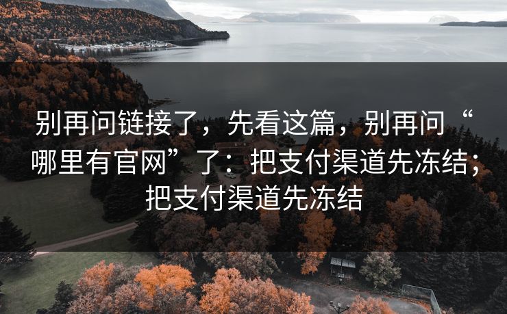 别再问链接了，先看这篇，别再问“哪里有官网”了：把支付渠道先冻结；把支付渠道先冻结