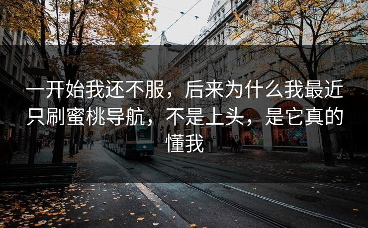 一开始我还不服，后来为什么我最近只刷蜜桃导航，不是上头，是它真的懂我