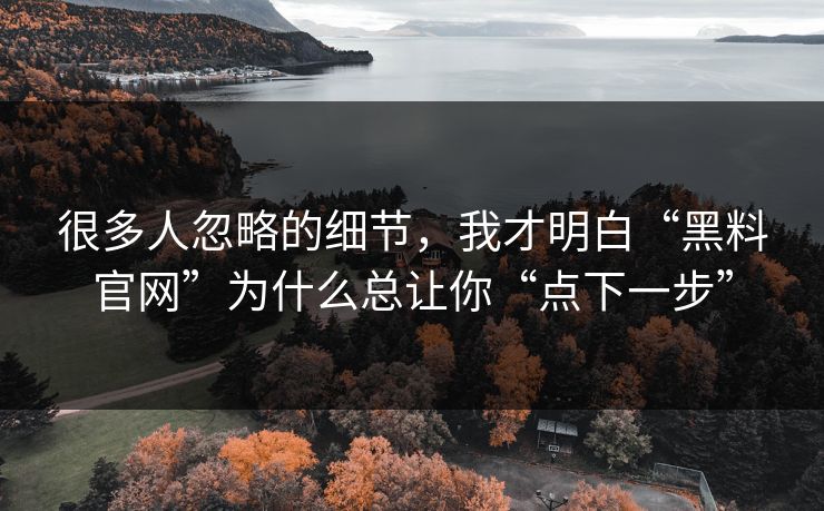 很多人忽略的细节,我才明白“黑料官网”为什么总让你“点下一步” 很多人忽略的细节,我才明白“黑料官网”为什么总让你“点下一步”
